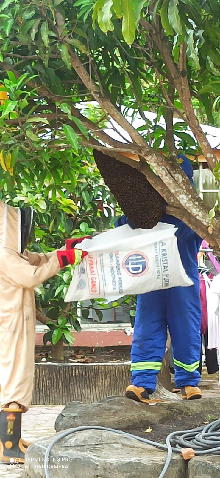 Melaporkan Penanganan  Evakuasi Lebah, Jl. Soekarno Hatta, Gg. Durian, Kel, Bagan Besar, Kec. Bukit Kapur.